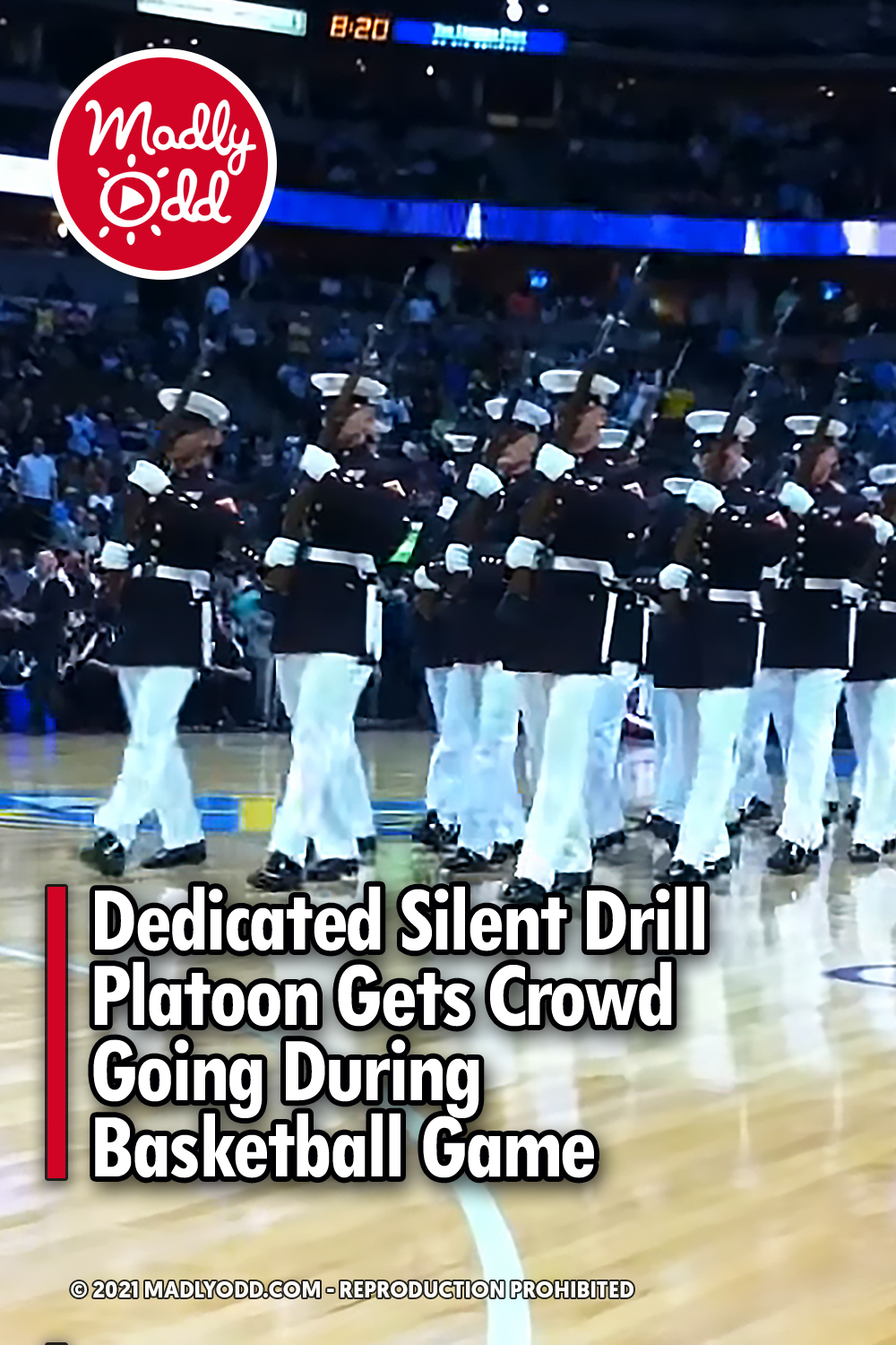 Dedicated Silent Drill Platoon Gets Crowd Going During Basketball Game