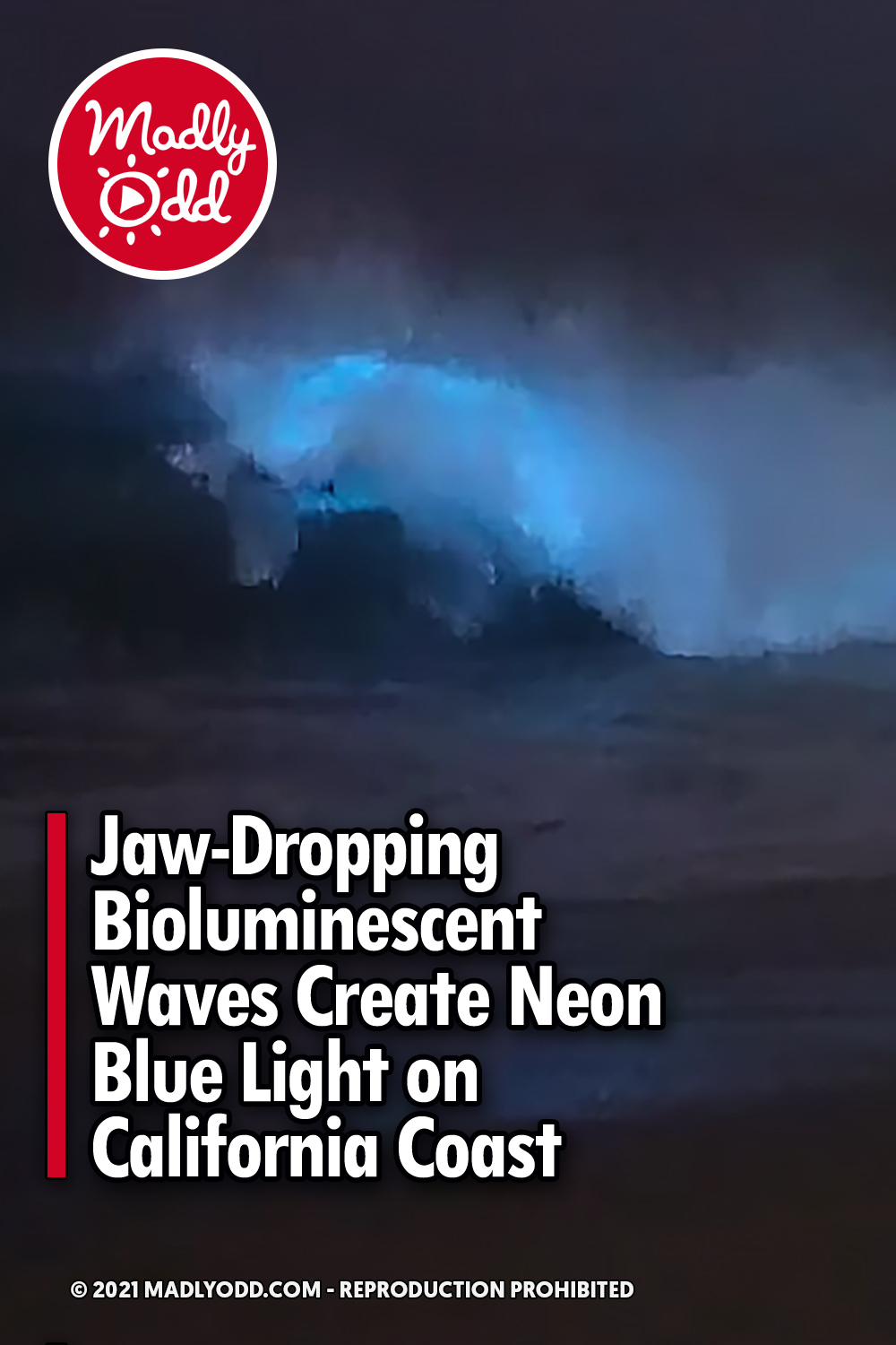 Jaw-Dropping Bioluminescent Waves Create Neon Blue Light on California Coast