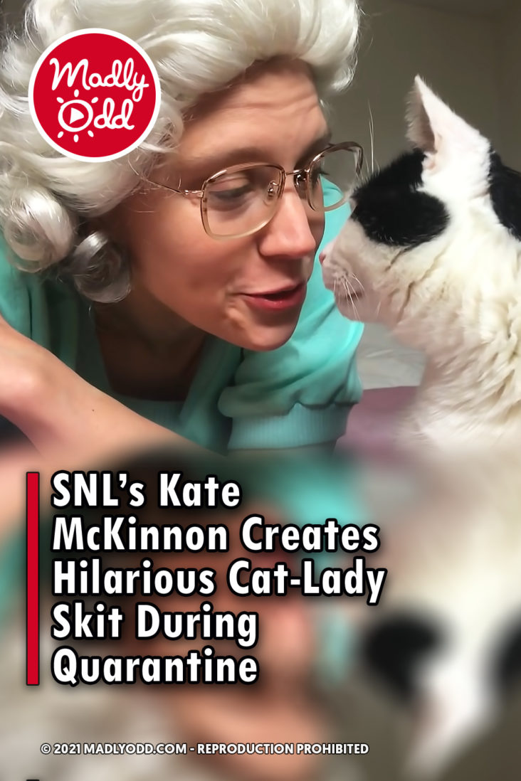 PINSNL’s Kate McKinnon Creates Hilarious CatLady Skit During