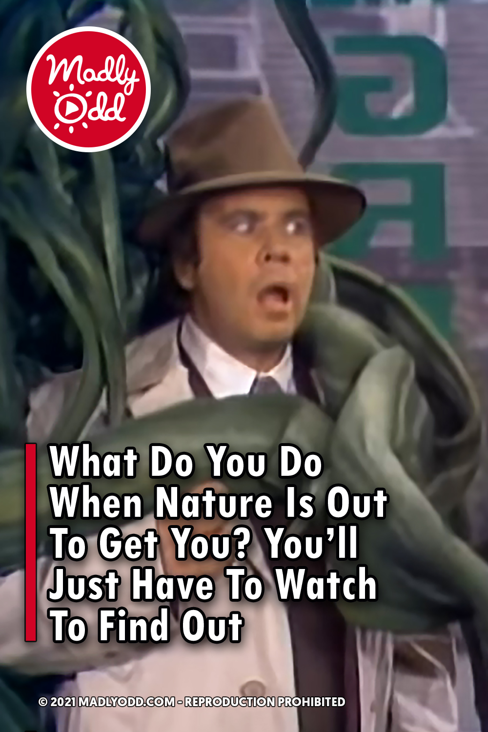 What Do You Do When Nature Is Out To Get You? You’ll Just Have To Watch To Find Out