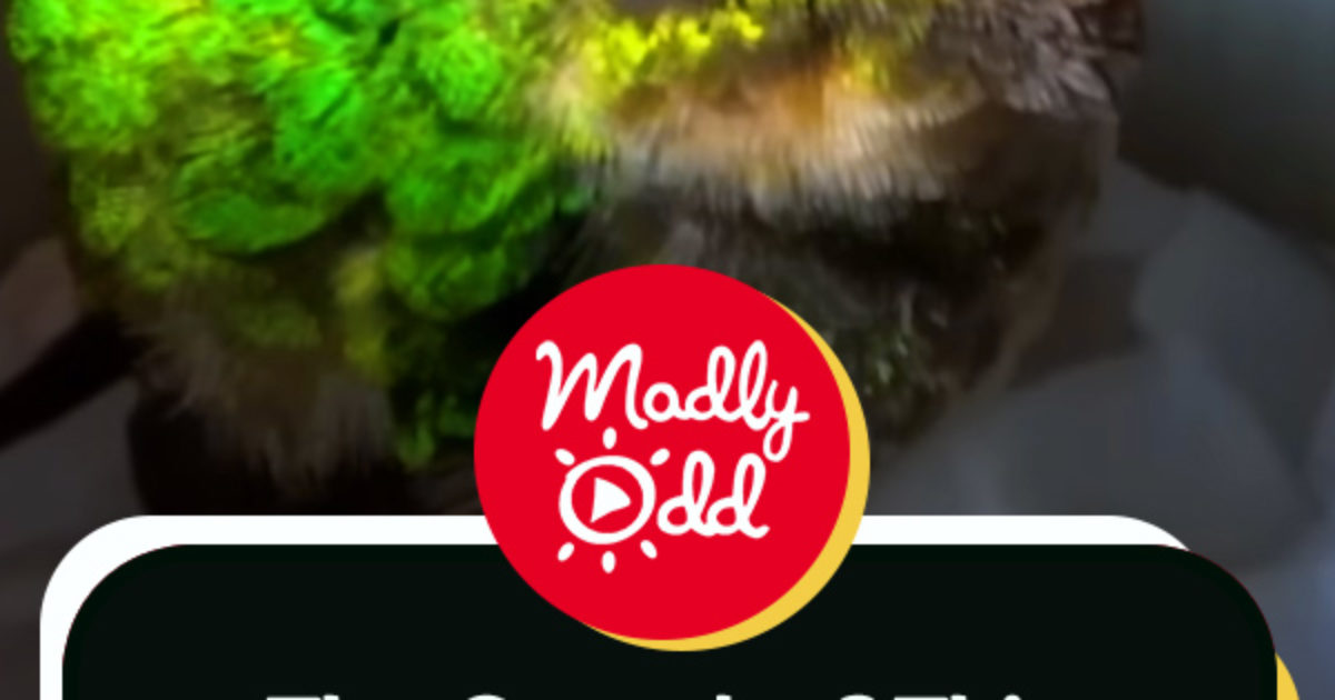 Pinterest Hidden Image