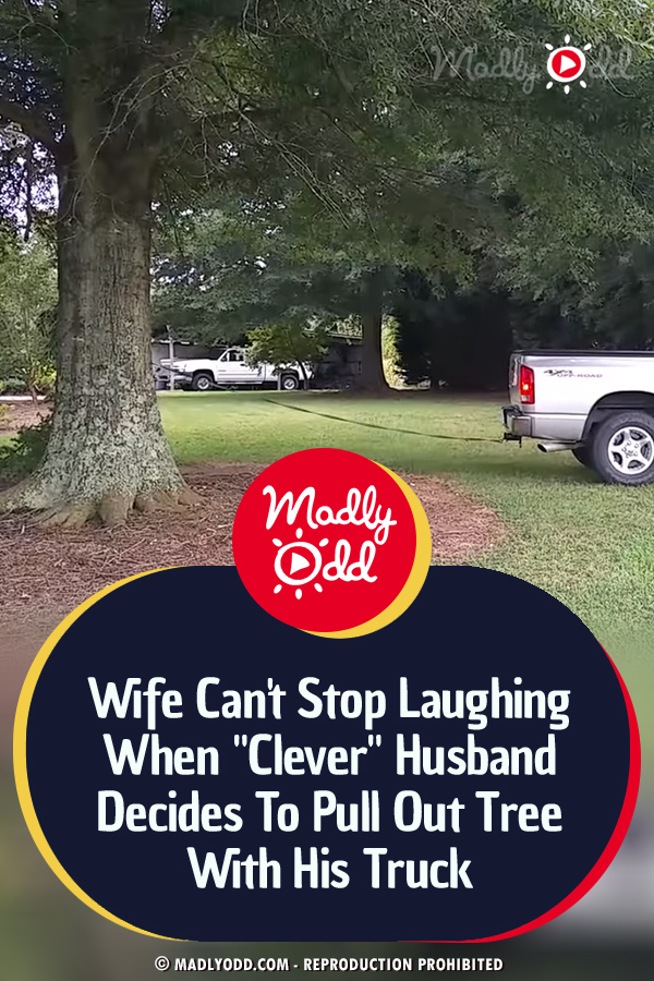 Wife Can\'t Stop Laughing When \