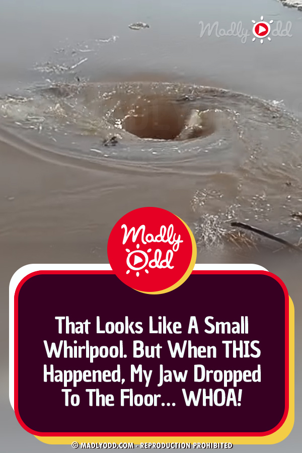That Looks Like A Small Whirlpool. But When THIS Happened, My Jaw Dropped To The Floor… WHOA!