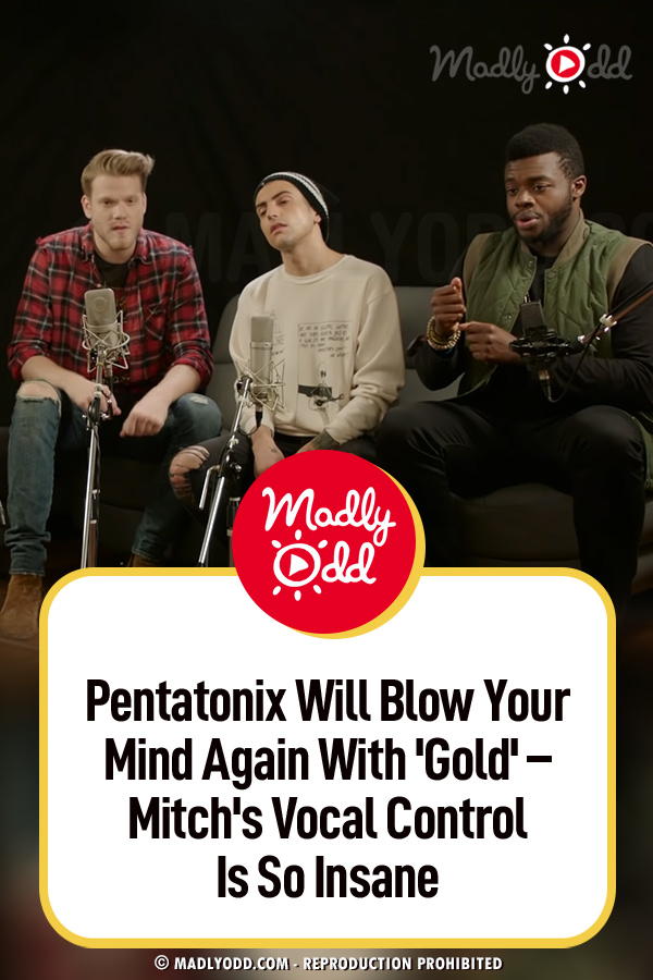 Pentatonix  Will Blow Your Mind Again With \'Gold\' – Mitch\'s Vocal Control Is So Insane