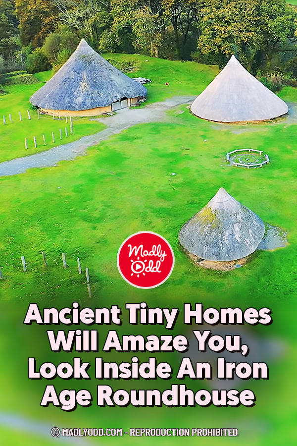 Ancient Tiny Homes Will Amaze You, Look Inside An Iron Age Roundhouse