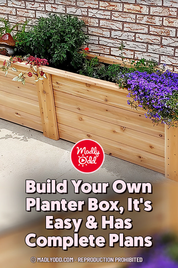 Build Your Own Planter Box, It\'s Easy & Has Complete Plans