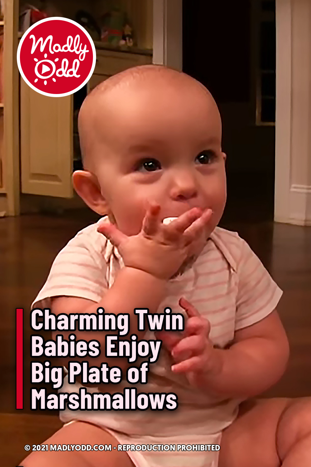Charming Twin Babies Enjoy Big Plate of Marshmallows