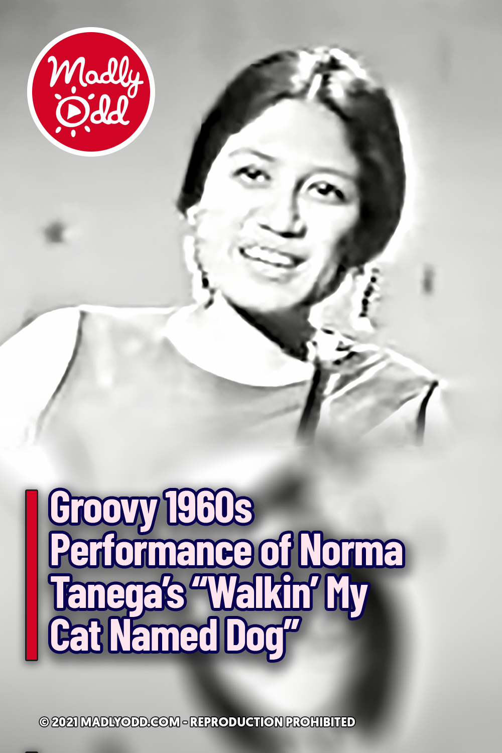 Groovy 1960s Performance of Norma Tanega’s “Walkin’ My Cat Named Dog”