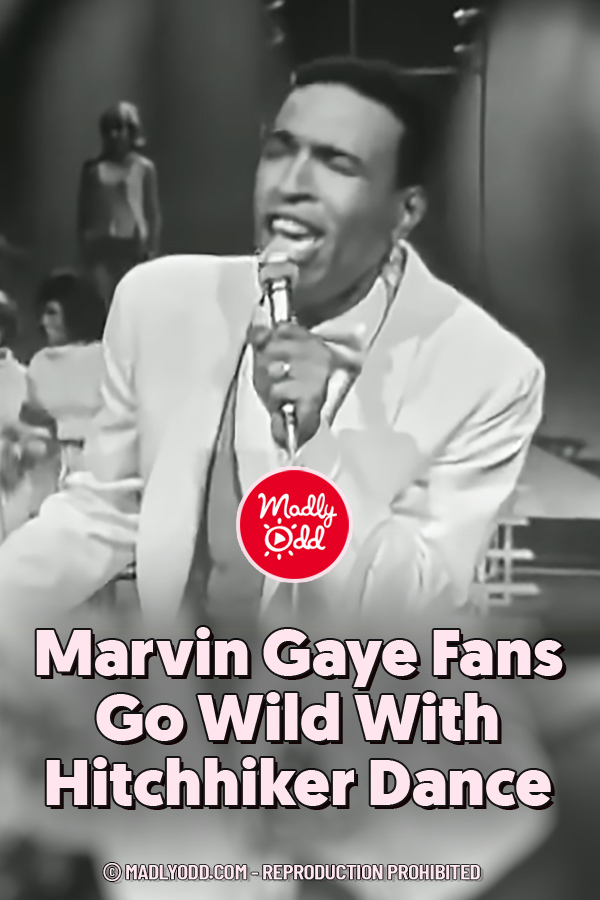 PINMarvin Gaye Fans Go Wild With Hitchhiker Dance Madly Odd!
