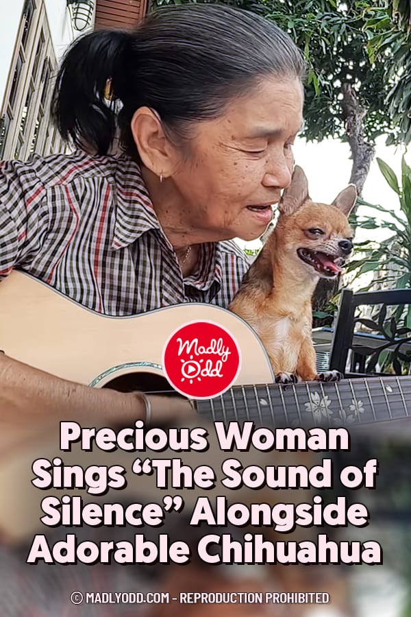 Precious Woman Sings “The Sound of Silence” Alongside Adorable Chihuahua