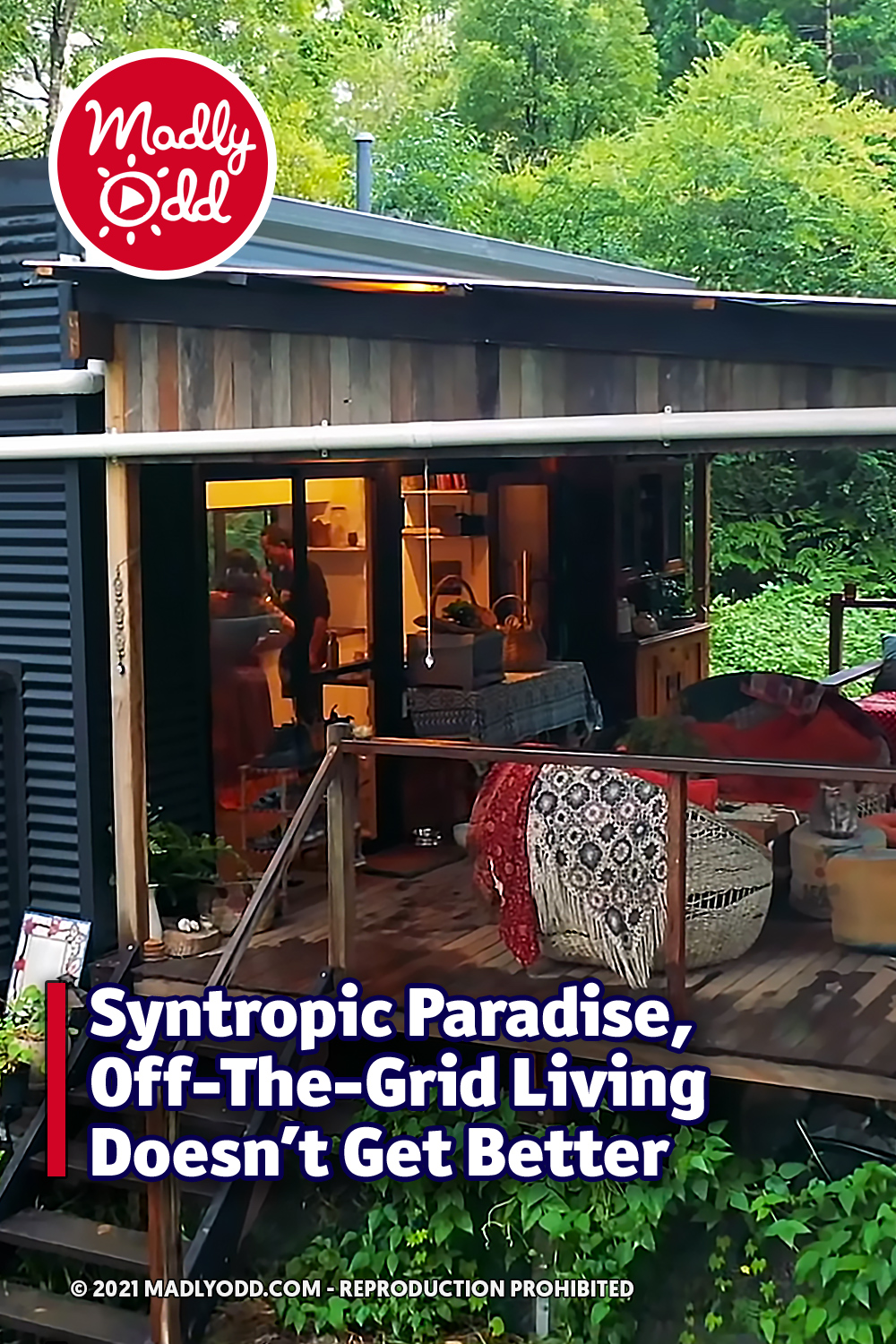 Syntropic Paradise, Off-The-Grid Living Doesn\'t Get Better