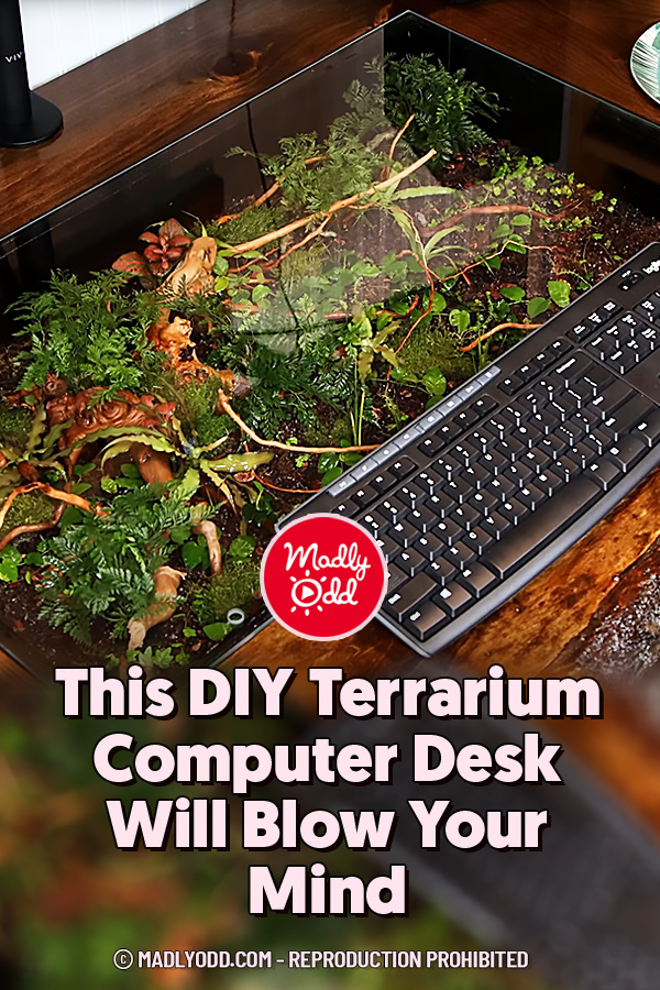This DIY Terrarium Computer Desk Will Blow Your Mind