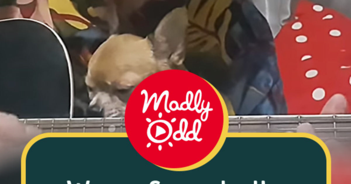 Pinterest Hidden Image