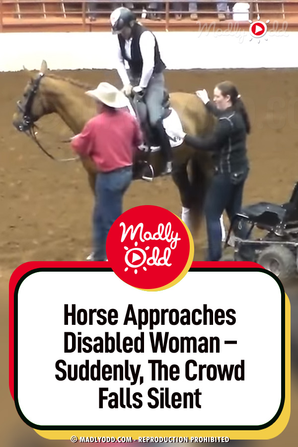 Horse Approaches Disabled Woman – Suddenly, The Crowd Falls Silent