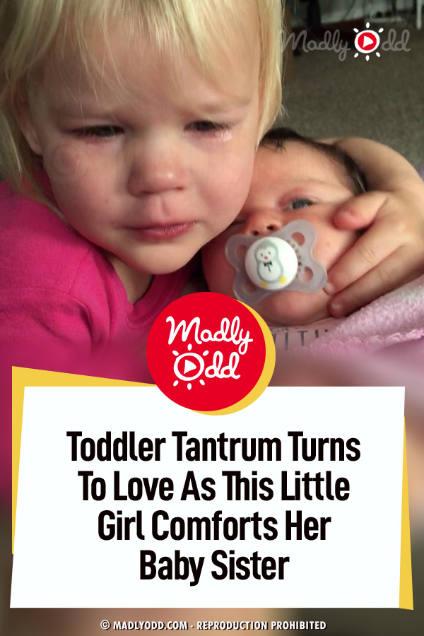 Toddler Tantrum Turns To Love As This Little Girl Comforts Her Baby Sister
