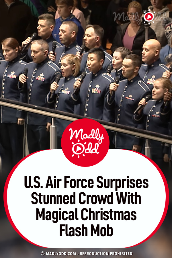 U.S. Air Force Surprises Stunned Crowd With Magical Christmas Flash Mob