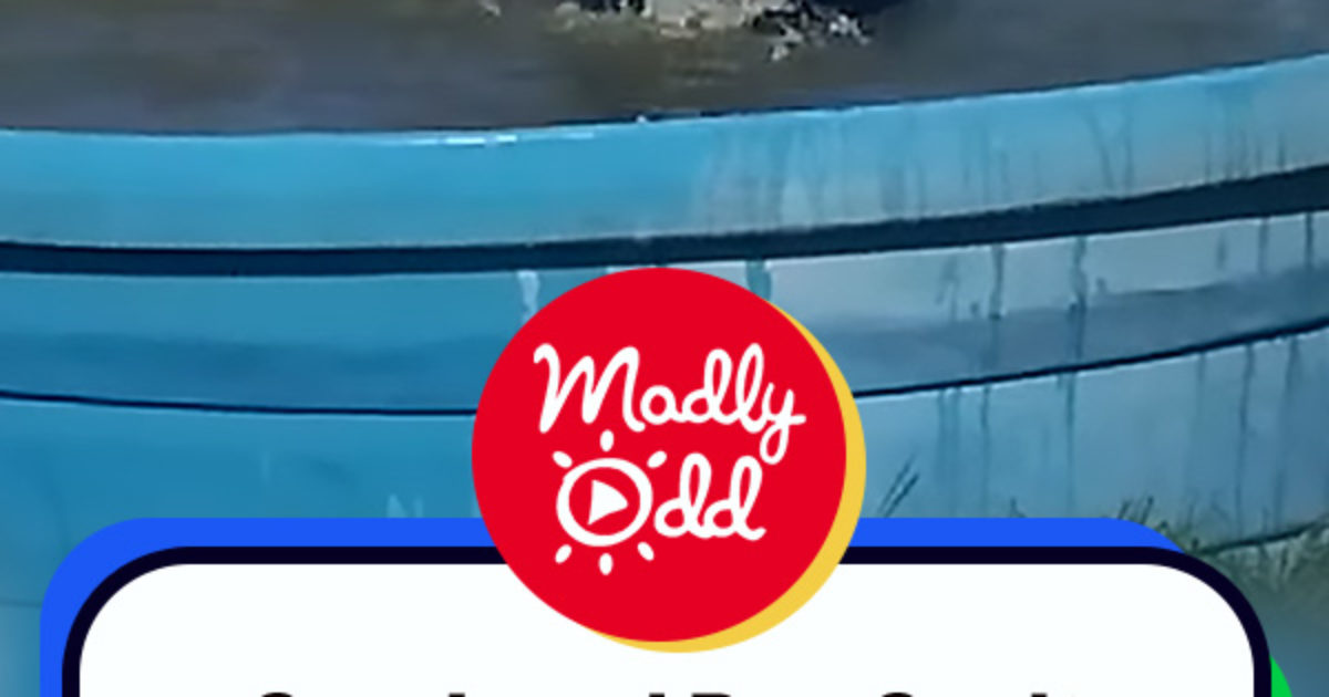 Pinterest Hidden Image