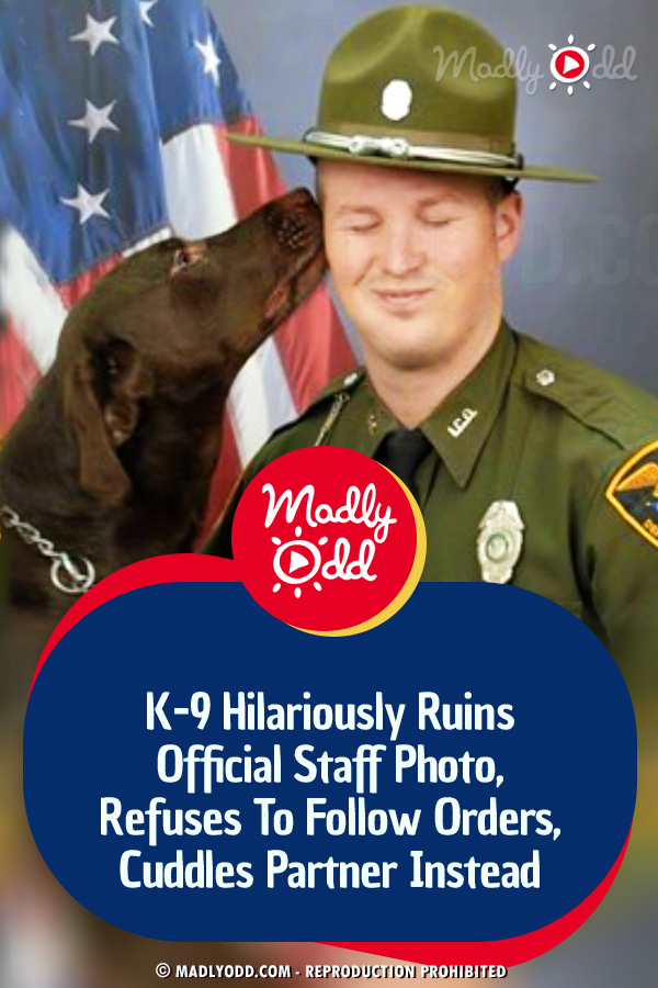 K-9 Hilariously Ruins Official Staff Photo, Refuses To Follow Orders, Cuddles Partner Instead