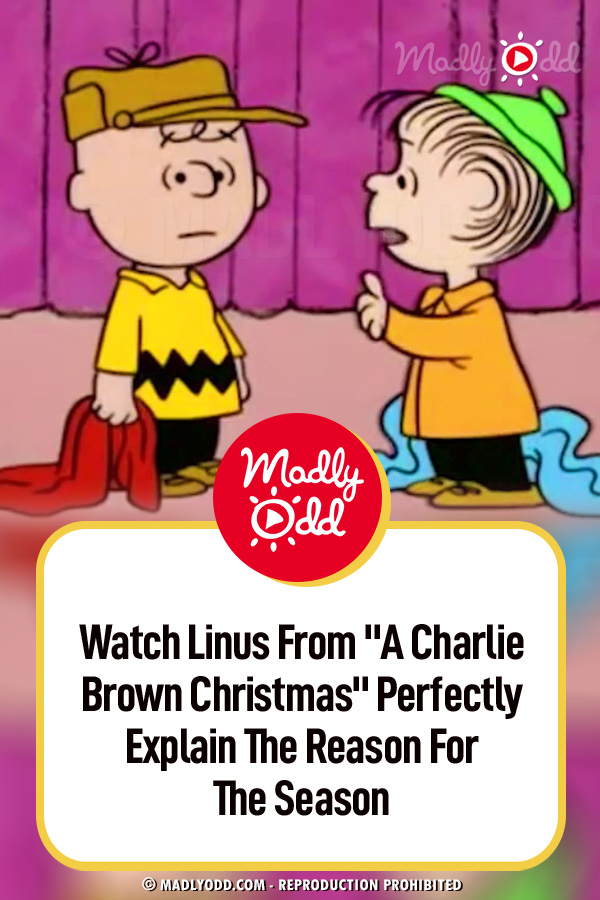 Watch Linus From \