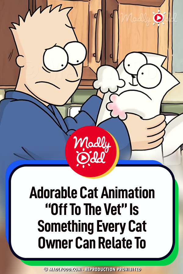 Adorable Cat Animation “Off To The Vet” Is Something Every Cat Owner Can Relate To