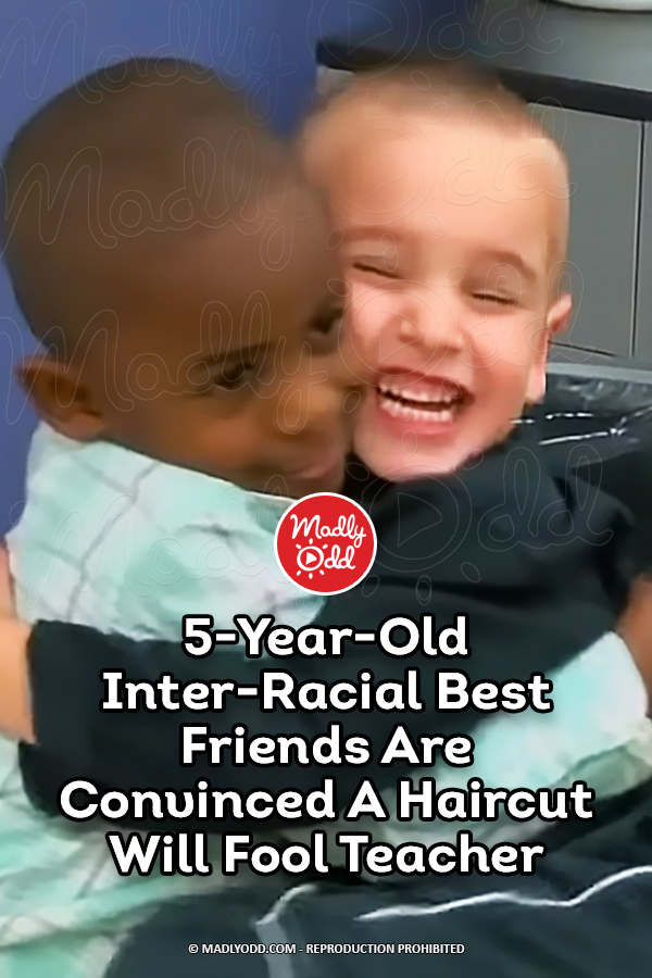 5-Year-Old Inter-Racial Best Friends Are Convinced A Haircut Will Fool Teacher