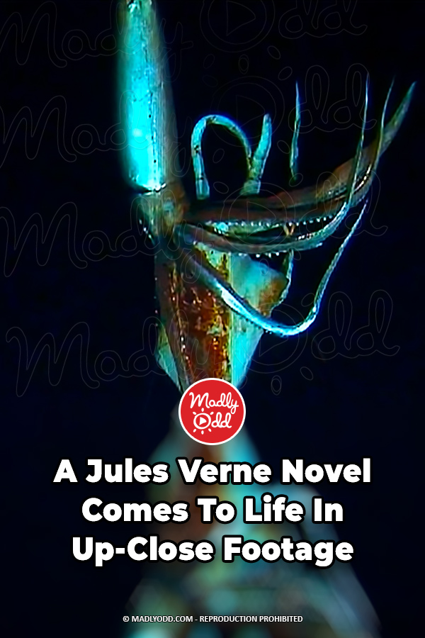 A Jules Verne Novel Comes To Life In Up-Close Footage