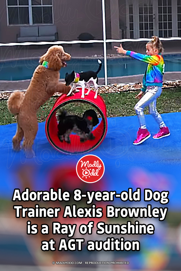 Adorable 8-year-old Dog Trainer Alexis Brownley is a Ray of Sunshine at AGT audition