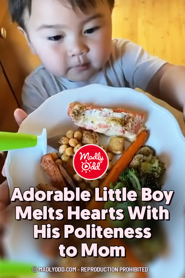 Adorable Little Boy Melts Hearts With His Politeness to Mom