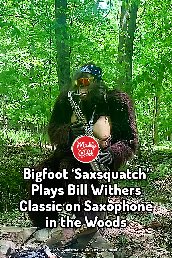 Bigfoot ‘Saxsquatch’ Plays Bill Withers Classic on Saxophone in the Woods
