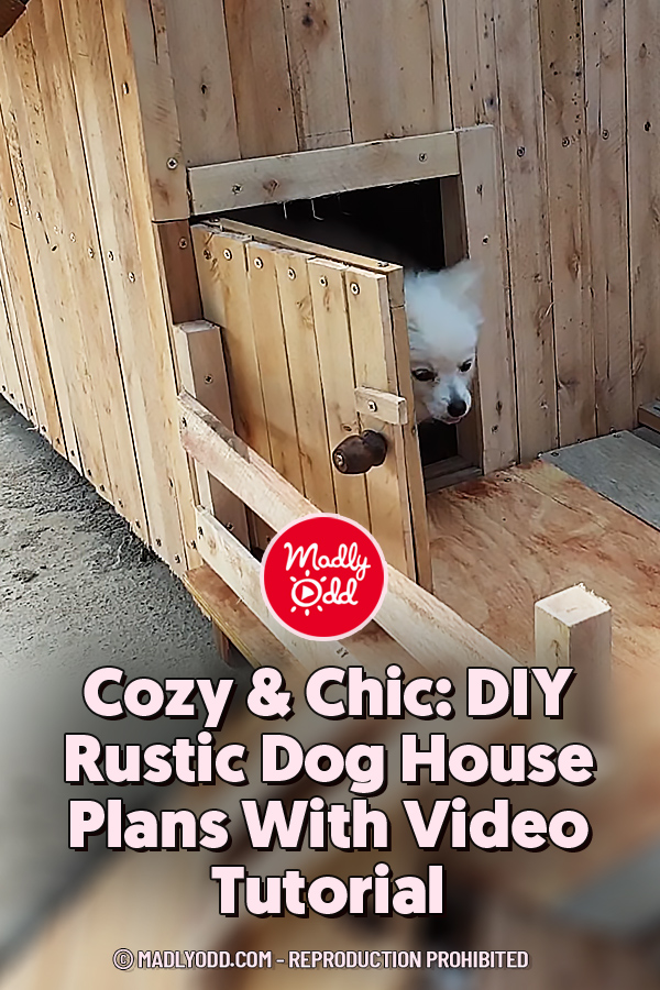 Cozy & Chic: DIY Rustic Dog House Plans With Video Tutorial
