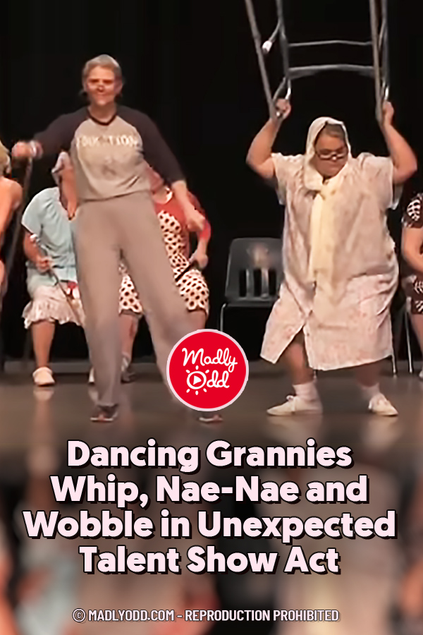 Dancing Grannies Whip, Nae-Nae and Wobble in Unexpected Talent Show Act