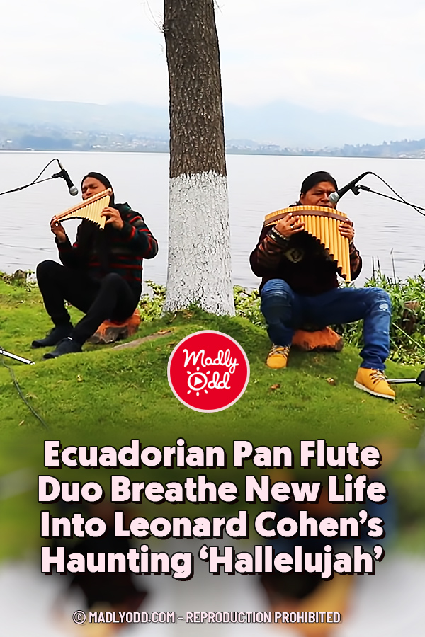 Ecuadorian Pan Flute Duo Breathe New Life Into Leonard Cohen’s Haunting ‘Hallelujah’