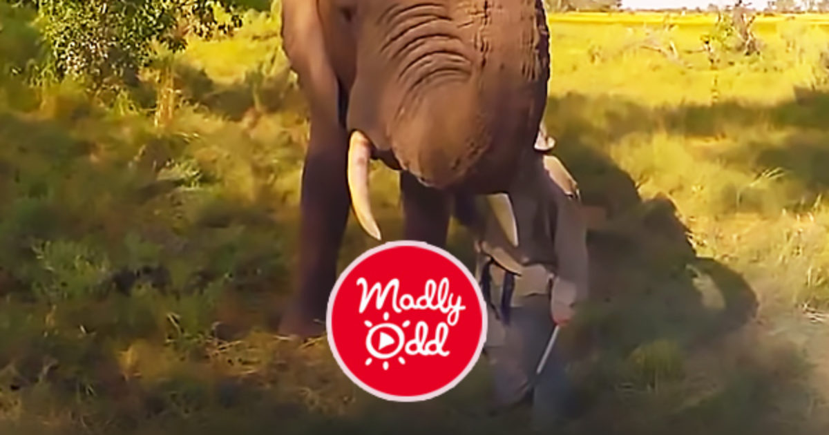 Pinterest Hidden Image