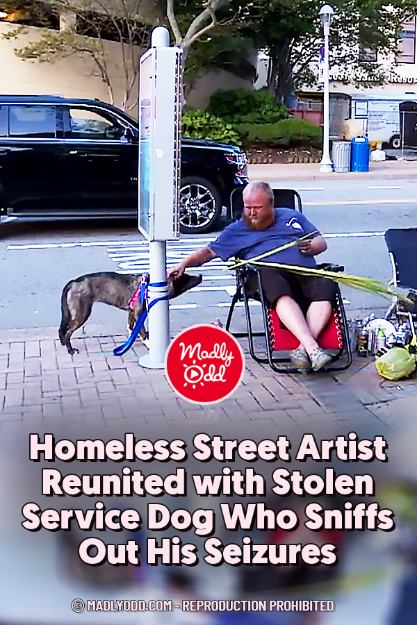 Homeless Street Artist Reunited with Stolen Service Dog Who Sniffs Out His Seizures