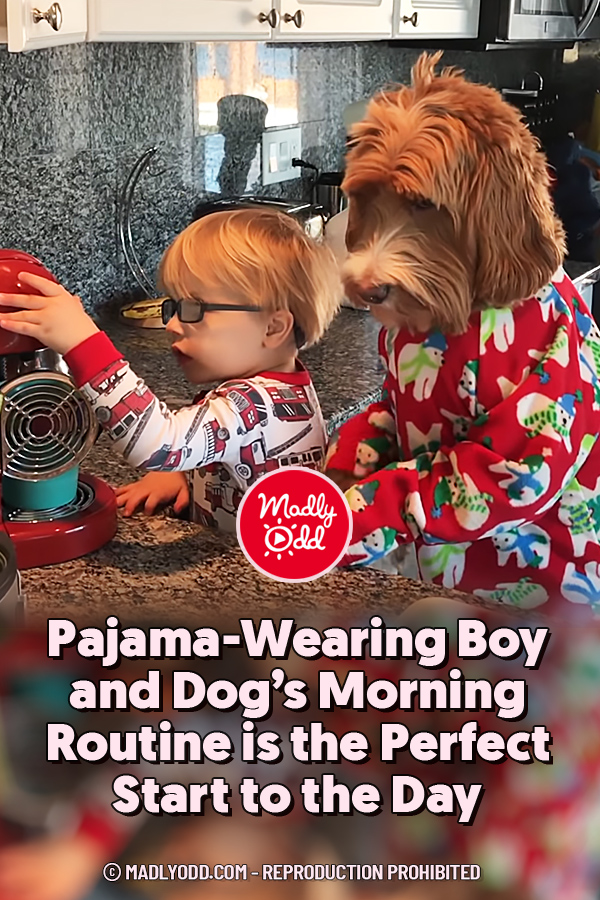 Pajama-Wearing Boy and Dog’s Morning Routine is the Perfect Start to the Day