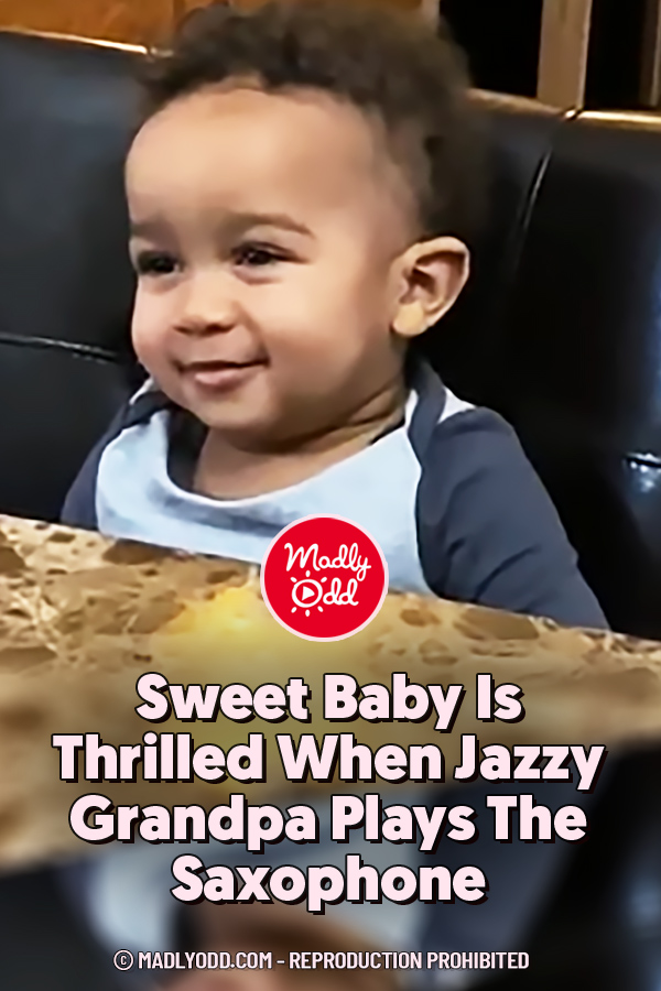 Sweet Baby Is Thrilled When Jazzy Grandpa Plays The Saxophone