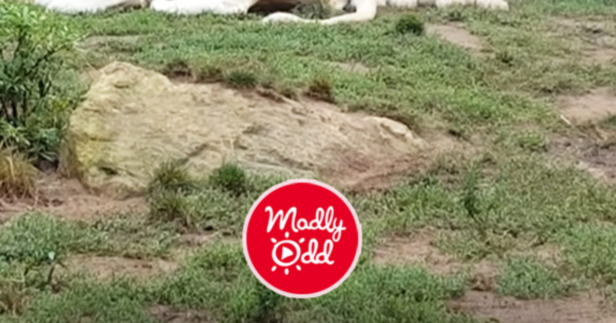 Pinterest Hidden Image