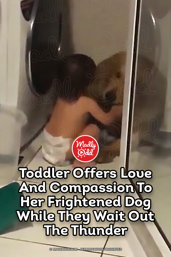 Toddler Offers Love And Compassion To Her Frightened Dog While They Wait Out The Thunder