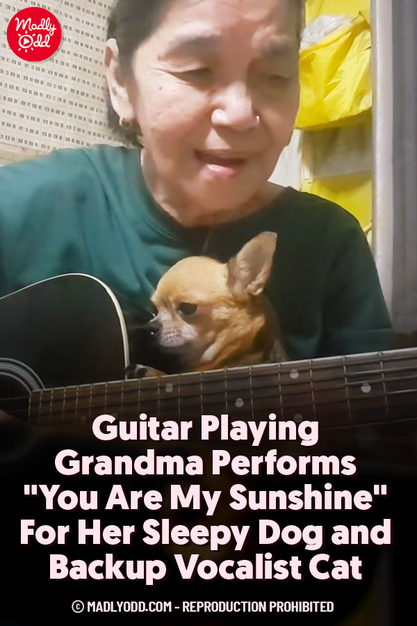 Guitar Playing Grandma Performs \