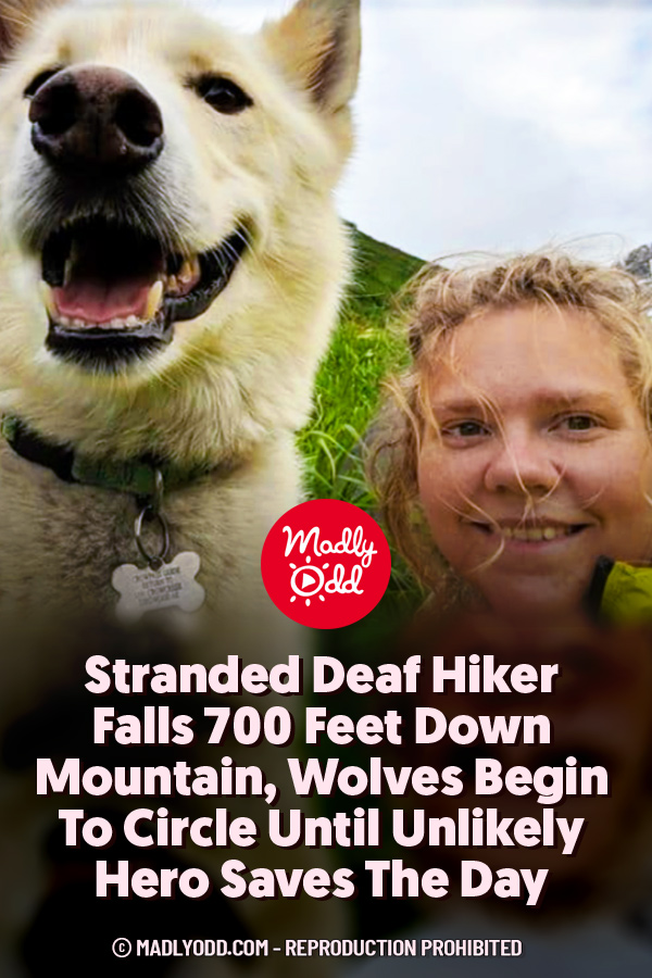 Stranded Deaf Hiker Falls 700 Feet Down Mountain, Wolves Begin To Circle Until Unlikely Hero Saves The Day
