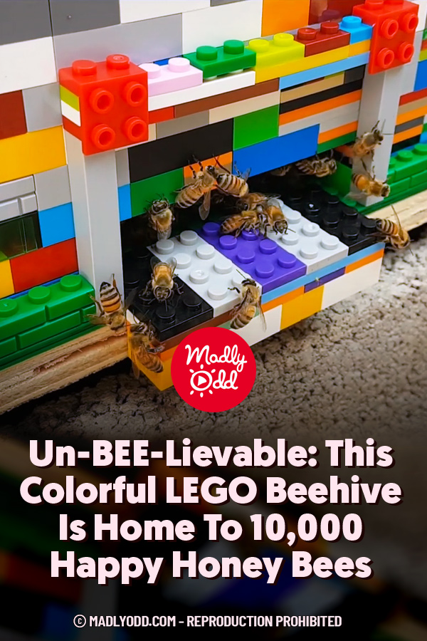 Un-BEE-Lievable: This Colorful LEGO Beehive Is Home To 10,000 Happy Honey Bees