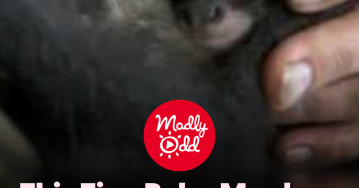 Pinterest Hidden Image