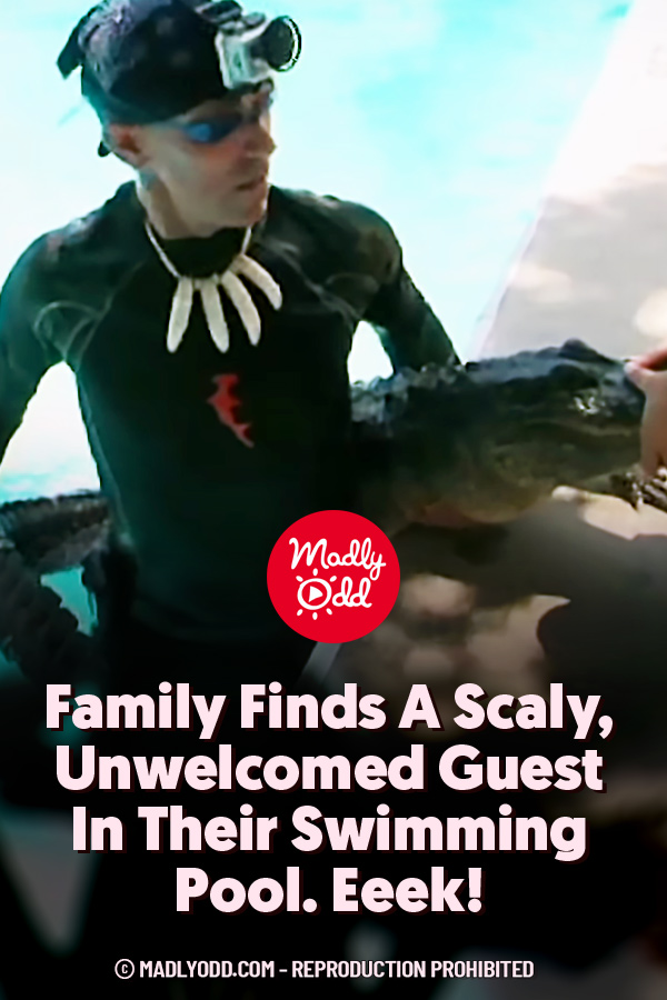Family Finds A Scaly, Unwelcomed Guest In Their Swimming Pool. Eeek!