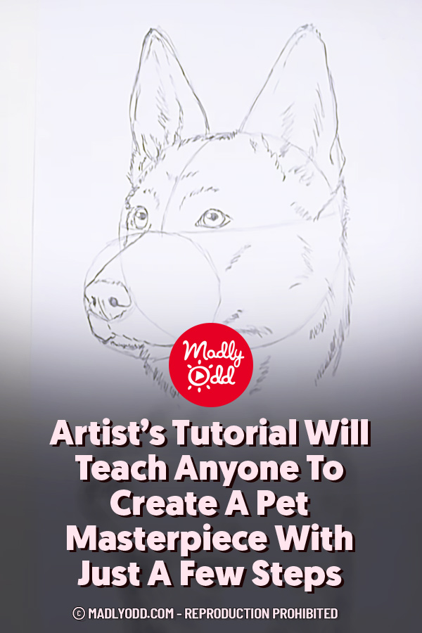 Artist’s Tutorial Will Teach Anyone To Create A Pet Masterpiece With Just A Few Steps