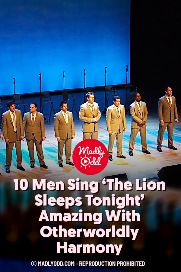 10 Men Sing ‘The Lion Sleeps Tonight’ Amazing With Otherworldly Harmony
