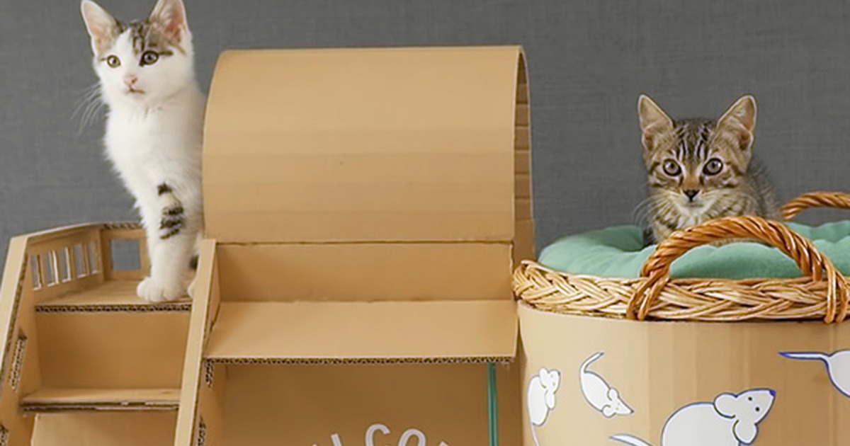 Two cats explore a DIY cardboard mini-mansion, showcasing creativity for pets.