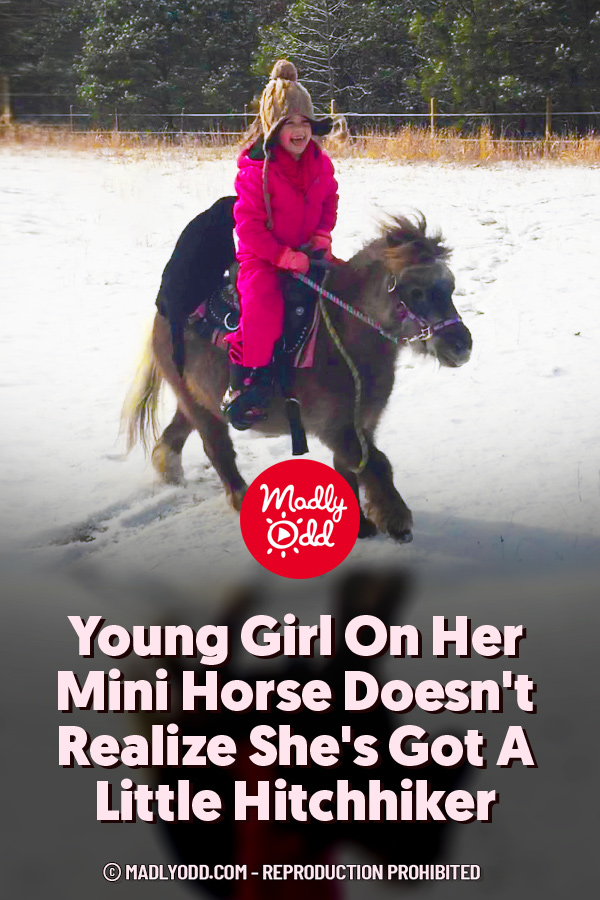 Young Girl On Her Mini Horse Doesn\'t Realize She\'s Got A Little Hitchhiker