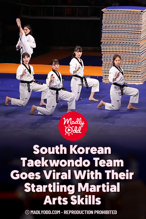 South Korean Taekwondo Team Goes Viral With Their Startling Martial Arts Skills