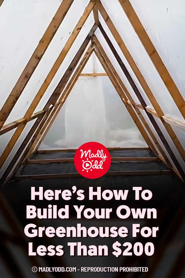 Here’s How To Build Your Own Greenhouse For Less Than $200