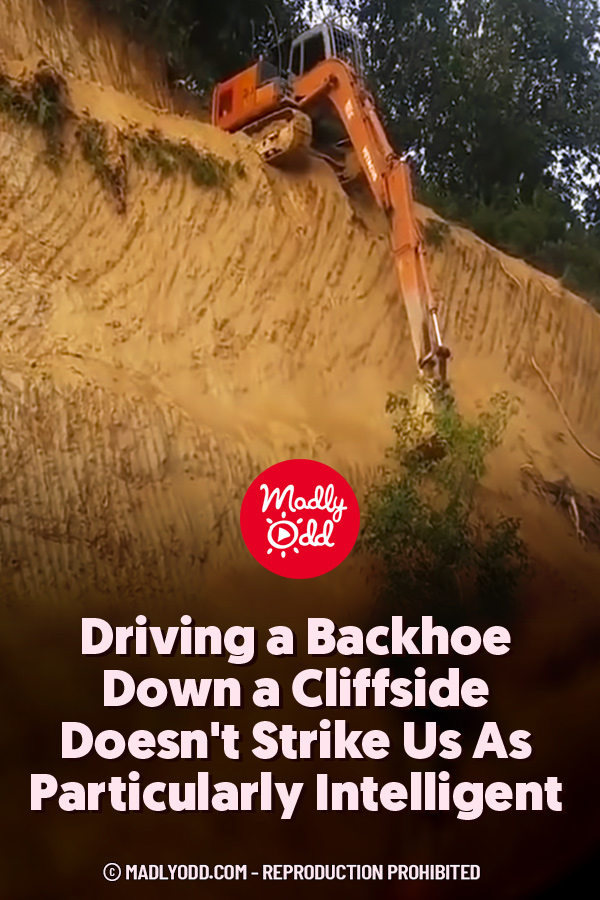 Driving a Backhoe Down a Cliffside Doesn\'t Strike Us As Particularly Intelligent